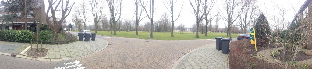 dag 24 straat in zaandam