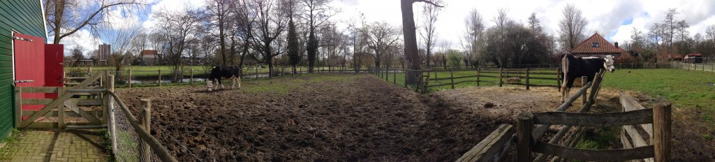 dag 30 kinderboerderij