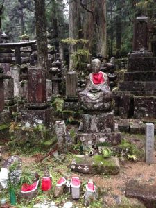 unadjustednonraw_thumb_1e80