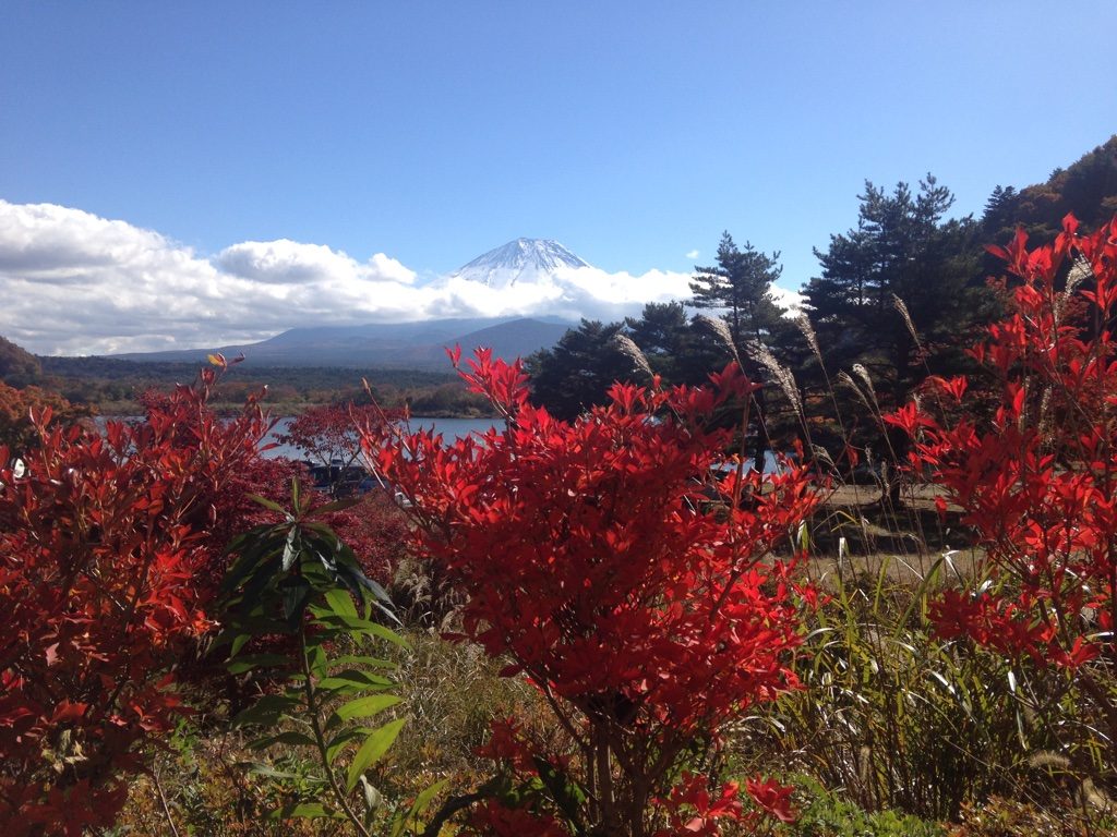 unadjustednonraw_thumb_1efe